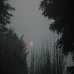 Vraj-Yatra-2014- (1296)